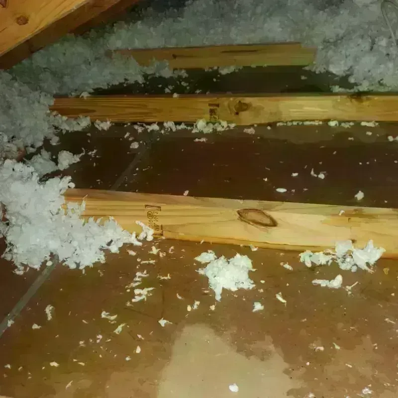 Attic Water Damage in Lake Hamilton, AR