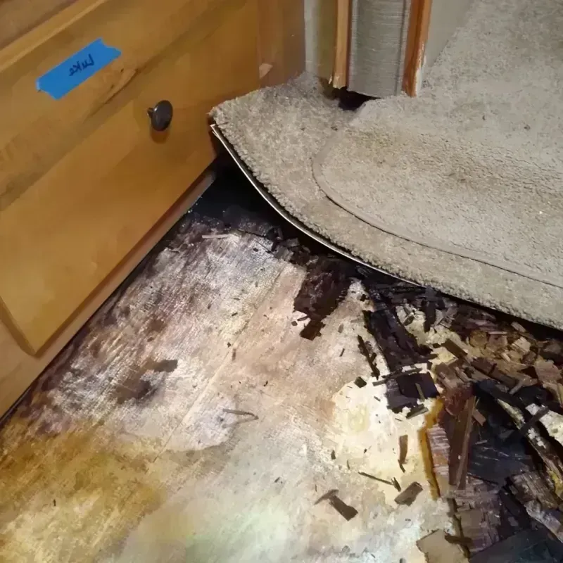 Wood Floor Water Damage in Lake Hamilton, AR